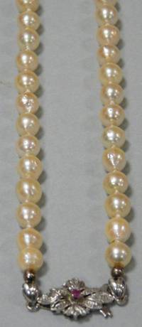 SU-531 Perlenkette  mit  Weißgoldschließe