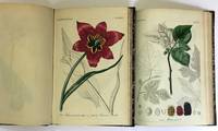 GR8017 Ludwig  Reichenbach, Deutschlands  Flora (vorliegend  14  Bände)