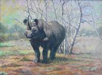 GE4062 Arthus  Spencer  Roberts, Nashorn  in  der  afrikanischen  Steppe