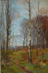 GE4021 William  Kay  Blacklock, Auf  der  Futtersuche  im  Birkenwald