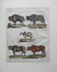 GR8010 Vier Kupferstiche Tierdarstellungen (um 1795)