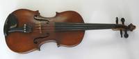 VE6015 Geige