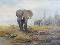 GE-240 Willi  Lorenz, Elefantenherde  auf  Nahrungssuche
