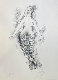 GR8019 Günter  Grass, Die  kleine   Meerjungfrau